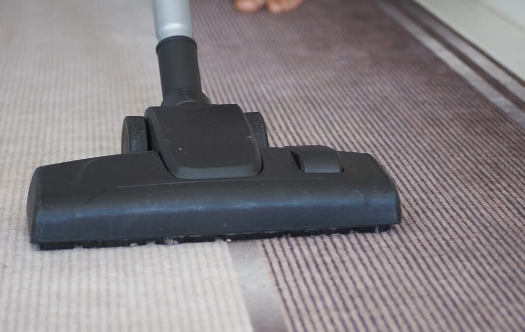 10 Monthly Carpet Care Tips Worth Every Dollar