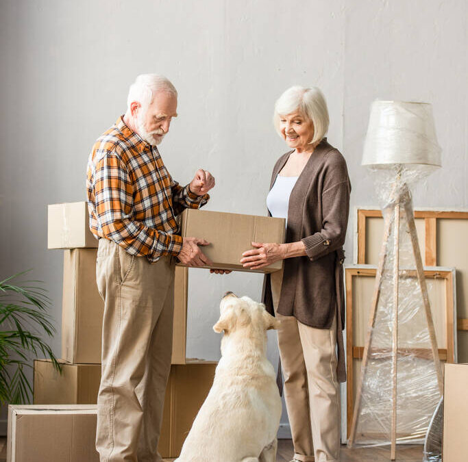 How To Move House And Pets Safely