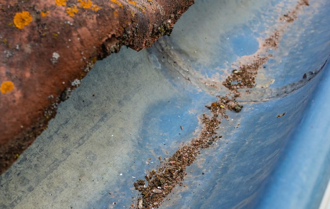 3 Essential Spring Gutter Maintenance Tips Homeowners Need